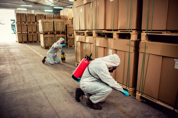 Best Pest Control Near Me in Florence, SC
