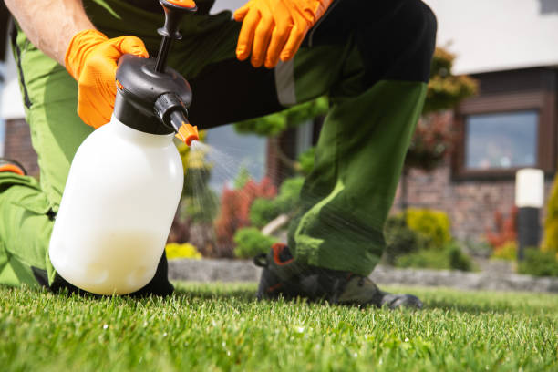Professional Pest Control in Florence, SC