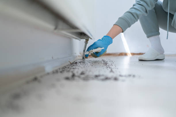 Best Termite Control Services  in Florence, SC