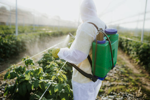 Best Pest Removal Services  in Florence, SC